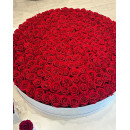 101 roses in a box