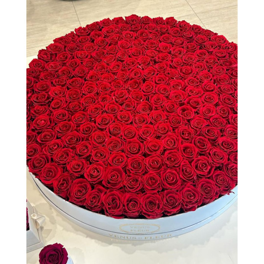 101 roses in a box