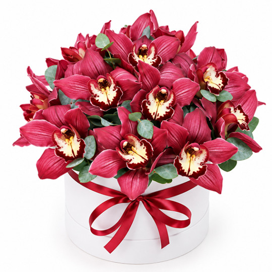 Orchids in a box