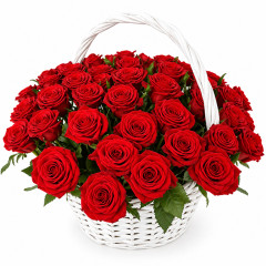 Roses in a basket