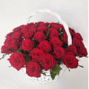 Roses in a basket