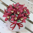 Orchids in a box