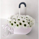 Umbrella with daisies