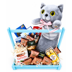 Gift set cat and sweets Gift set cat and sweets