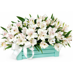 Box of flowers Scarlett