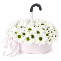 Umbrella with daisies