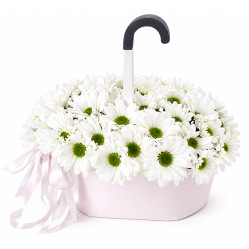 Umbrella with daisies Umbrella with daisies