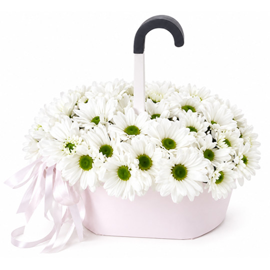 Umbrella with daisies