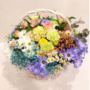 Basket of flowers Cleopatra
