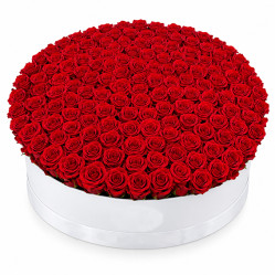 101 roses in a box 101 roses in a box
