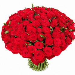 101 Roses bouquet 101 Roses bouquet