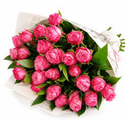 Spray roses Spray roses