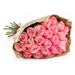 Pink Roses Pink Roses